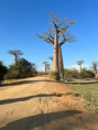 /album/fotogaleria-madagaskar-zajazd-vy-a-my/madagaskar-dovolenka-54-jpg/